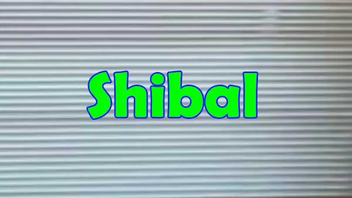 Berikut Shibal Artinya dalam Bahasa Gaul dan Arti Shibal dalam Bahasa ...