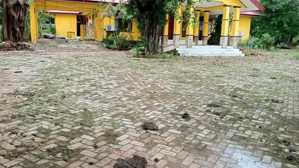 Hitung Hari Pelantikan, Rumdis Wabup Rote Ndao Horor dan Dipenuhi Kotoran Hewan