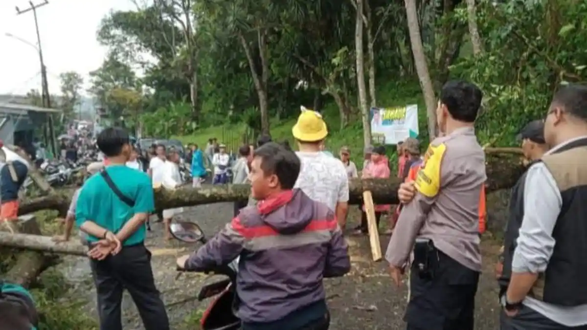 Hujan Deras dan Angin Puting Beliung Landa Ciawi Bogor, Atap Berterbangan Merusak Empat Rumah