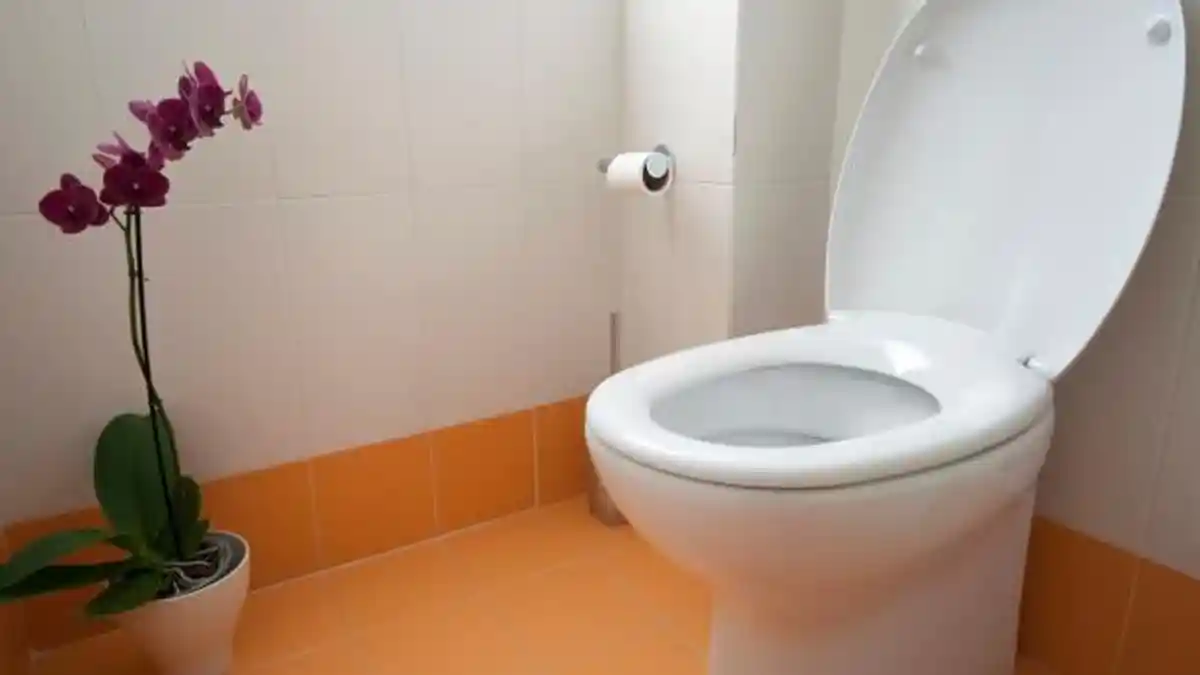 Bukan Dudukan Toilet, Ternyata Benda Ini Yang Paling Kotor Dan Penuh Bakteri, Selalu Digunakan Lho!