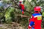 Puting Beliung Rusak Dua Rumah di Kabupaten Banjar, Sejumlah Pohon Tumbang