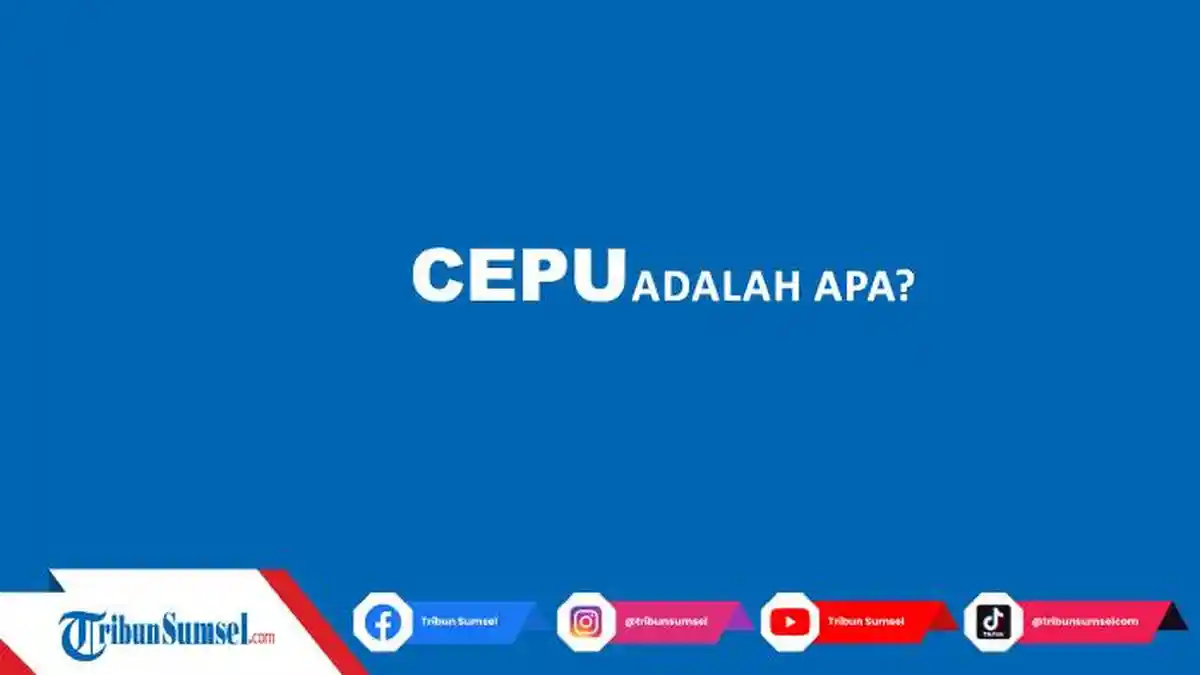 Cepu Adalah Apa? Kata yang Jadi Bahasa Gaul, Berikut Pengertiannya, Jangan Sampai Dilakukan