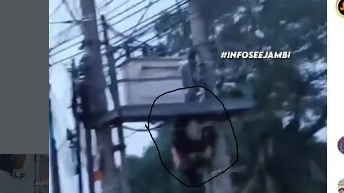 Kaki Maling Tersangkut Kabel Listrik di Jambi, Jatuh dari Tiang Listrik