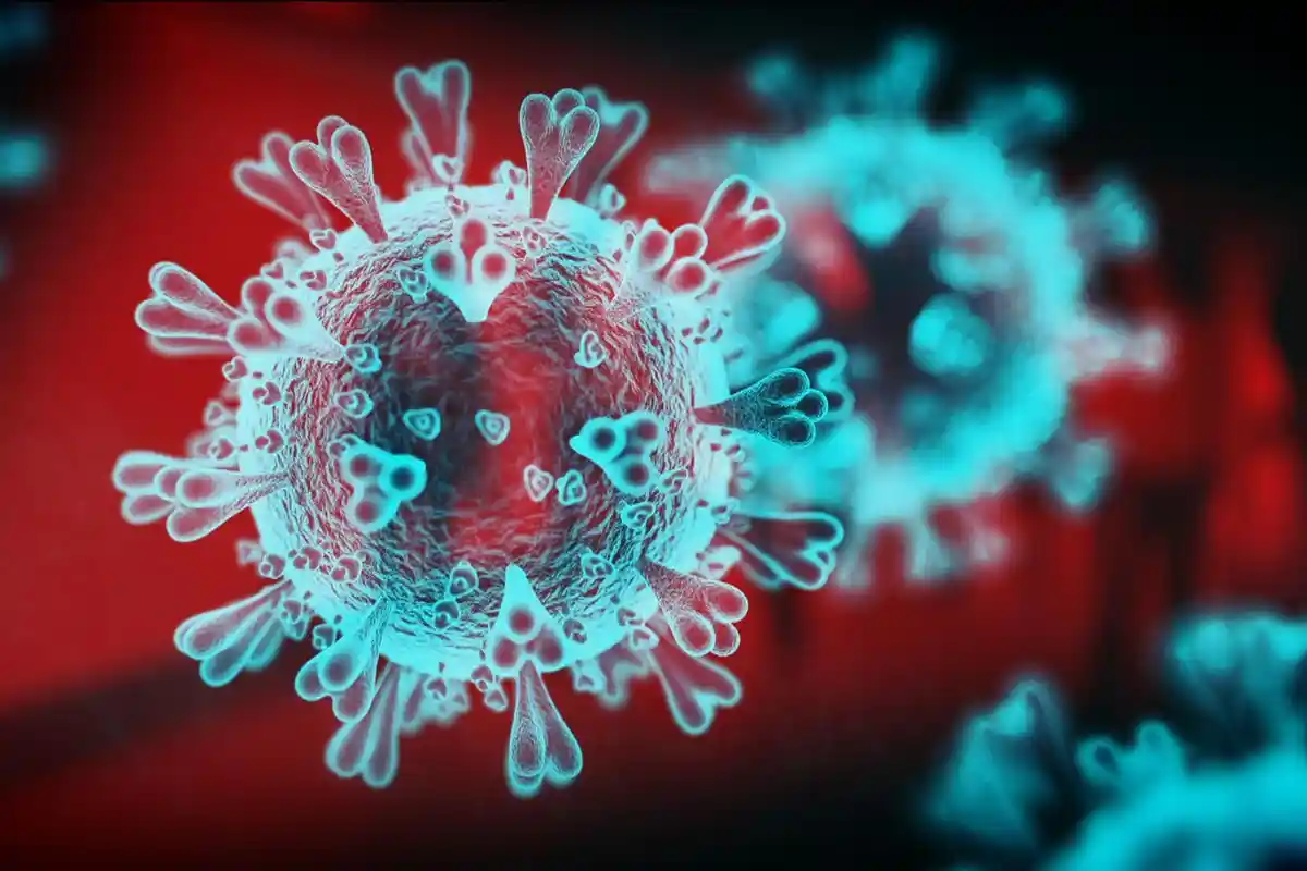 Anggota Ombudsman Ahmad Suadi & 24 Pegawai Positif Covid-19, Ketahuan saat Swab Massal