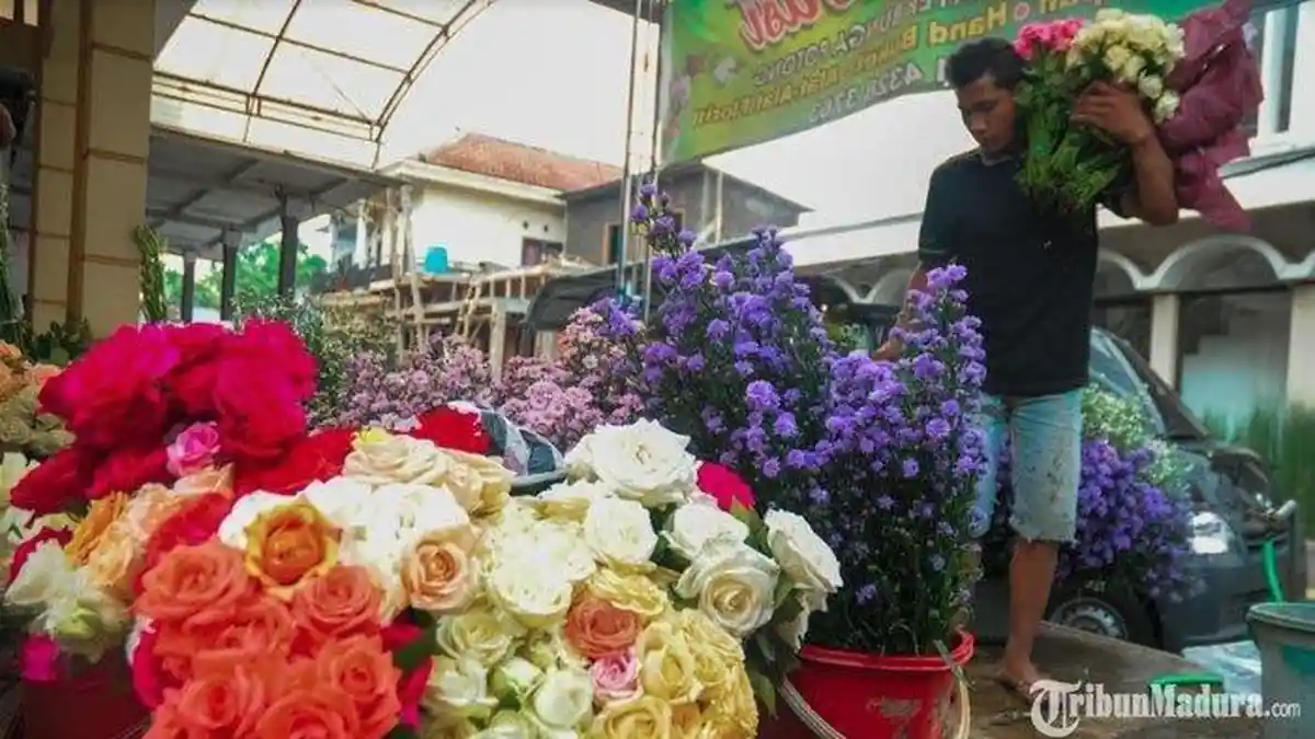 Jangan Sampai Salah Beli, Ini Perbedaan dan Arti Warna Bunga Mawar