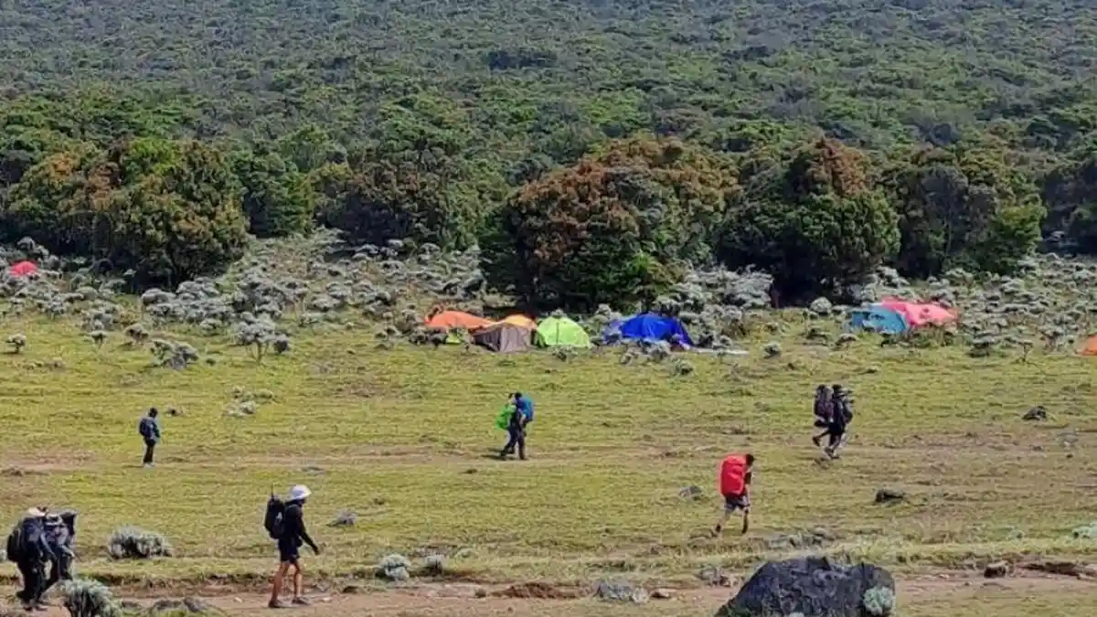 Jalur Pendakian Gunung Gede-Pangrango Ditutup 3 Bulan, Bertepatan Libur Natal dan Tahun Baru 2025