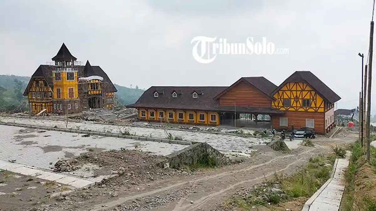 Wisata Baru di Boyolali : Cimory Buka di Cepogo, Sapi-sapi Akan Dilepas Liarkan Bak Luar Negeri