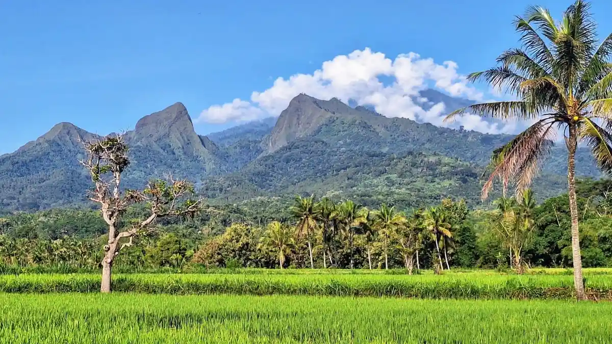 Daripada Ada Pendakian Ilegal ke Gunung Piramid, Disparbudpora Bondowoso Wacanakan Wisata Khusus