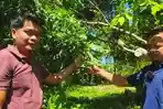 KELOMPOK-PETANI-KLU.jpg