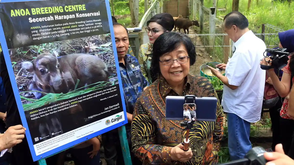 Erin, Gajah Kecil yang Ditemukan Dengan Belalai Buntung Kini Semakin Sehat