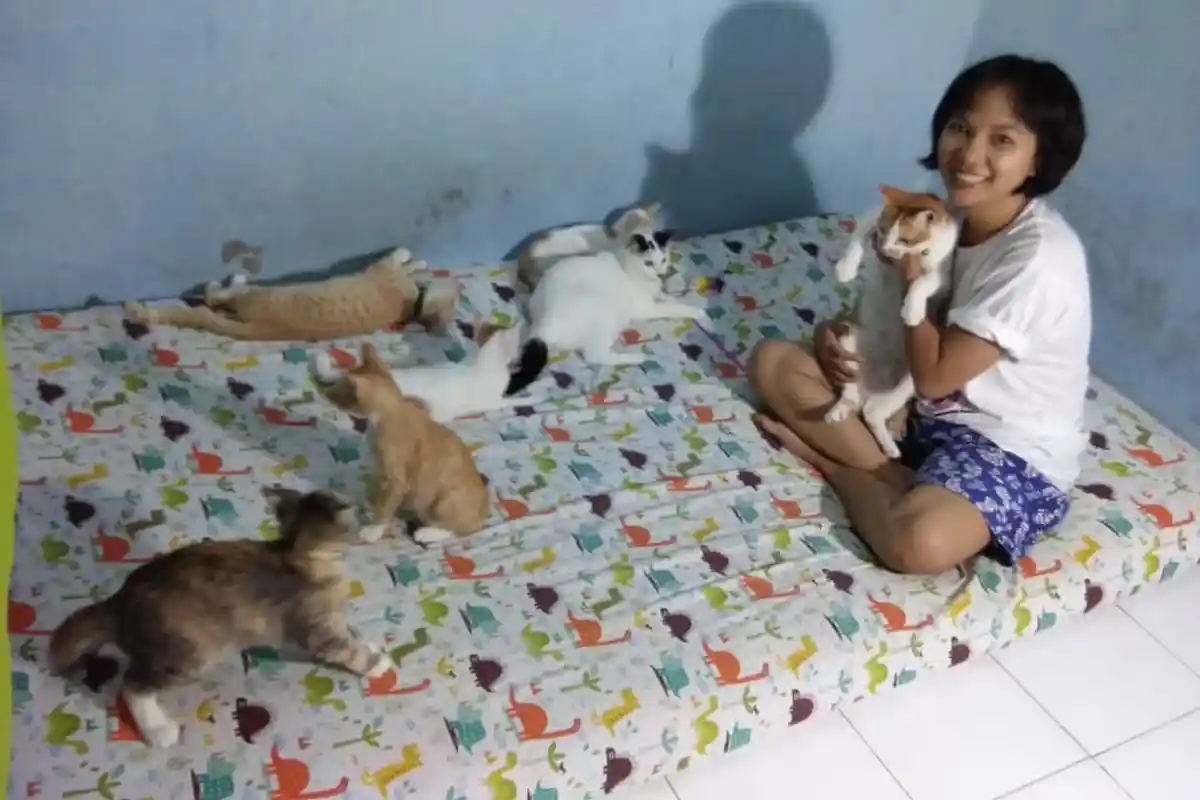 Tinggal di Kos Ukuran 3x3 Meter di Jogja, Icha Hidup Seranjang dengan 19 Kucing Liar Kesayangannya