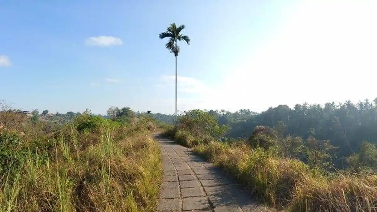 Waktu Terbaik dan Tips Backpacker ke Gianyar, Traveling Jadi Lebih Menyenangkan