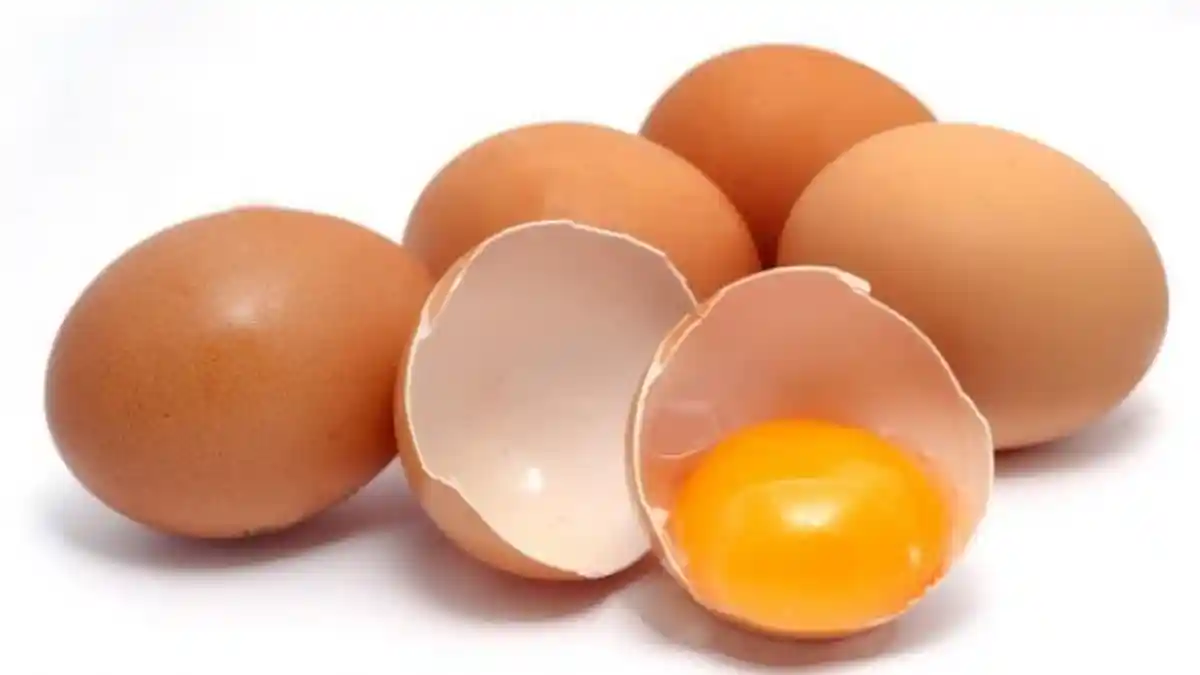 Bosen dengan Menu Telur Dadar dan Ceplok, Ini 5 Olahan Telur Lainnya yang buat Kamu Ketagihan!