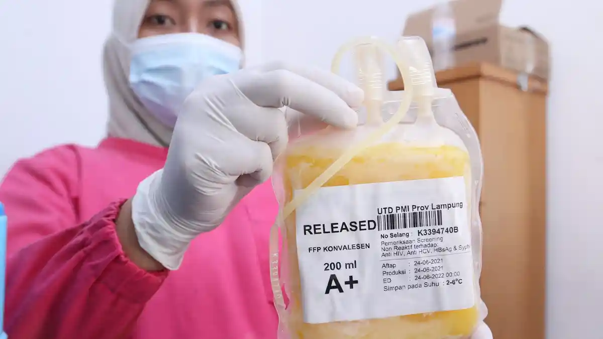Penjelasan Terapi Plasma Konvalesen, Cara Kerja hingga Perbedaan dengan Vaksin