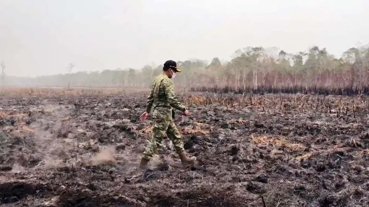Kepala BNPB Letjen TNI Kristomei Sianturi Pantau Karhutla di Taman ...