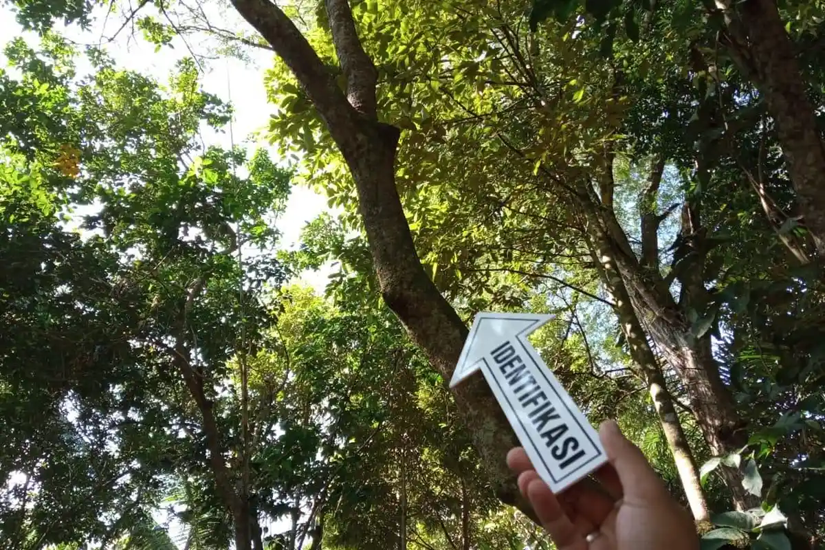 Diduga Sakit Jiwa, Seorang Pria di Lingsar Tewas Gantung Diri di Pohon Rambutan