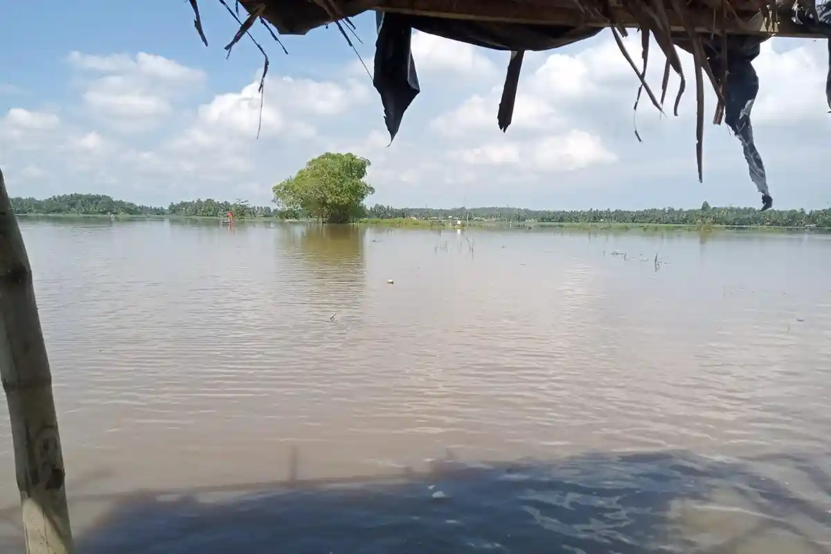 Seribuan Hektare Sawah yang Berisi Padi di Aceh Utara Kembali Terendam Banjir
