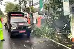 Hujan Angin Kencang Terjang Blitar: Pohon Tumbang Timpa Mobil dan Rumah