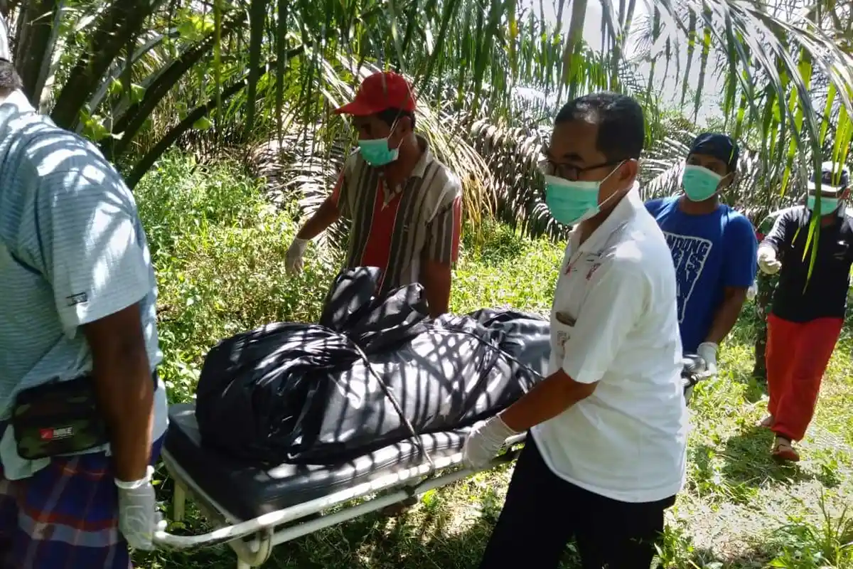 Sosok Mayat Pria Tua Ditemukan di Kebun Sawit di Desa Kukus, Sarolangun, Ternyata Warga Merangin
