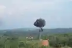 TNI AD Latihan Demonstrasi Pertempuran TNI AD TA 2015