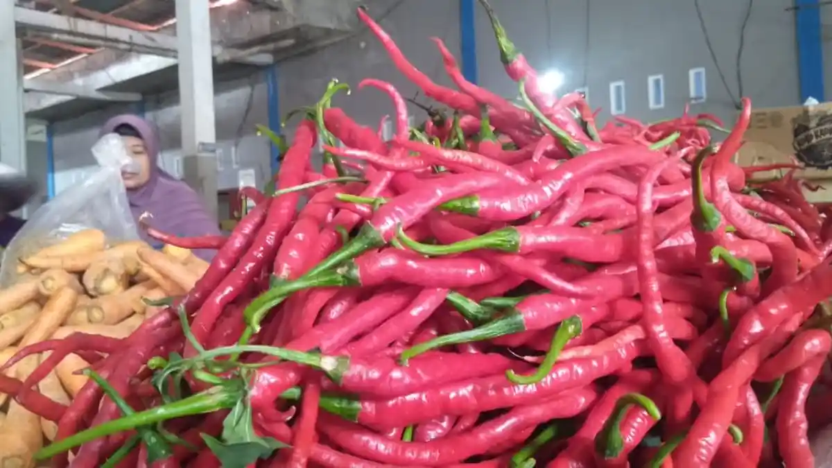 Berikut Harga Bawang, Cabai dan Tomat Terkini di Halmahera Barat Kamis, 28 April 2022