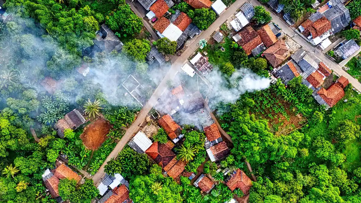 Materi Belajar Geografi : Bentuk Usaha Pemerataan Pembangunan di Desa dan Kota