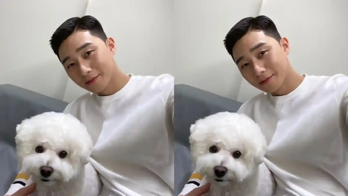 Sempat Diretas hingga Kontennya Hilang, Kanal YouTube Park Seo Joon Dikabarkan telah Kembali