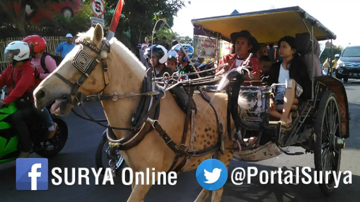 Kusir Dokar Dapat Rp 25 Juta Sebulan, Keliling Alun-alun Batu Bisa Gratis