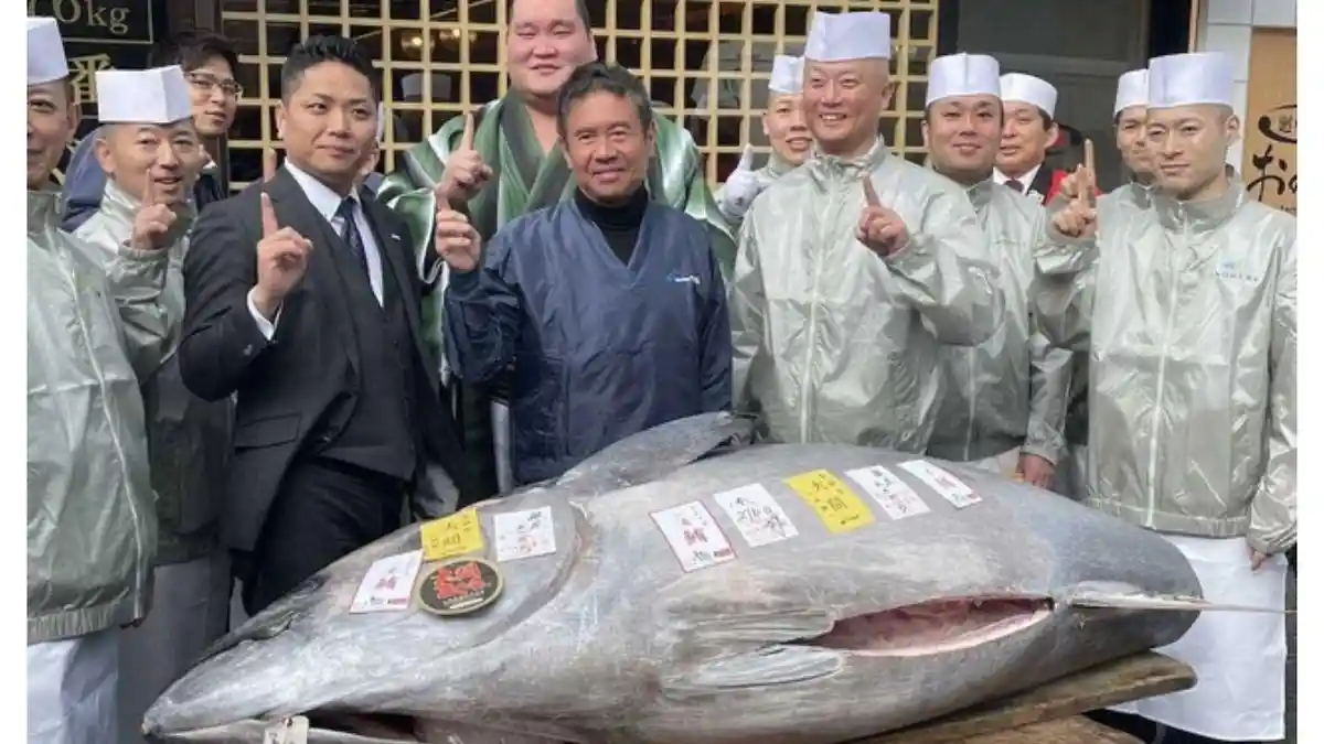 Ikan Tuna Jepang Terjual Seharga Rp21,8 Miliar dalam Pelelangan Pertama 2025