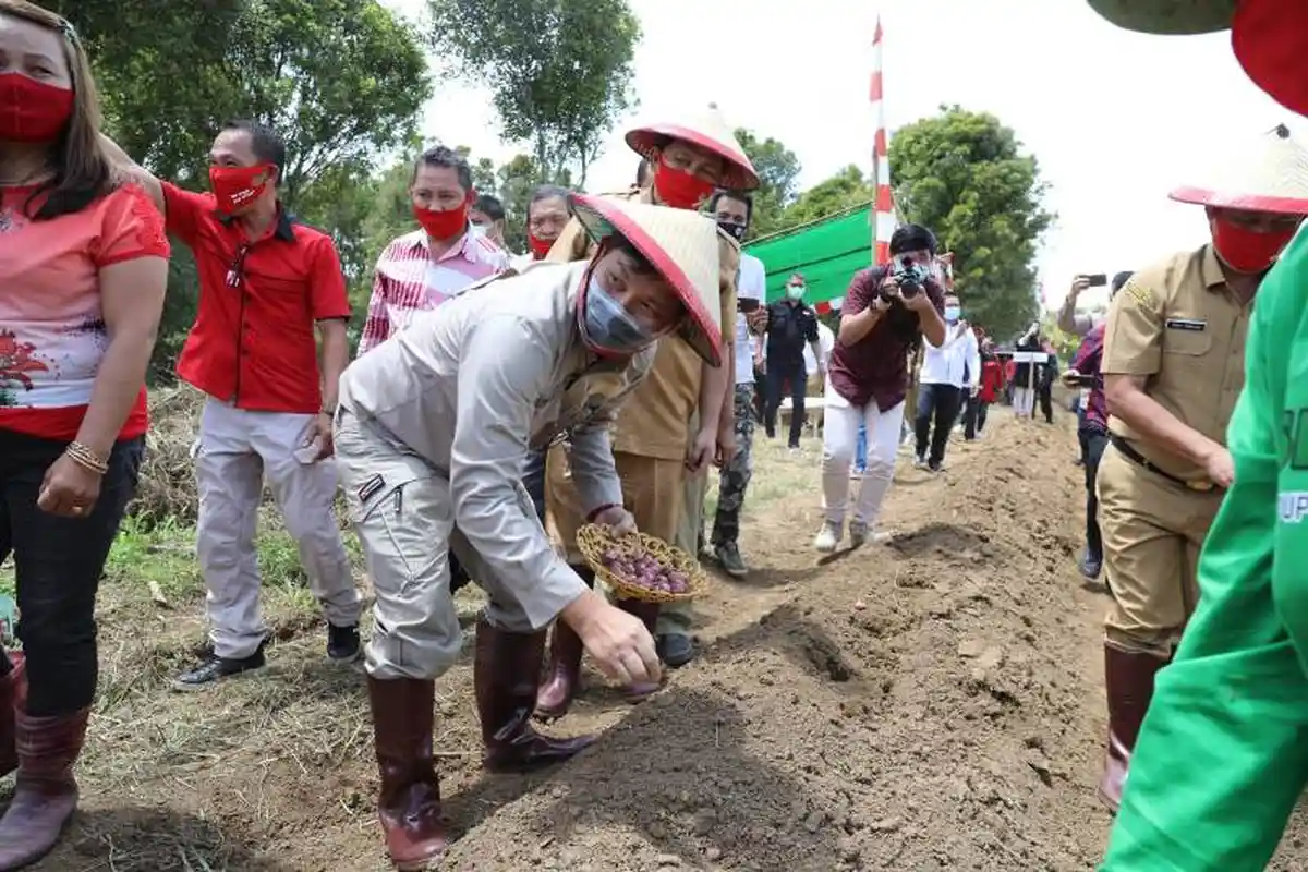 Wagub Canangkan 'Marijo Ba Kobong', Dinas Pertanian Boltim Hadirkan Petani Mooat