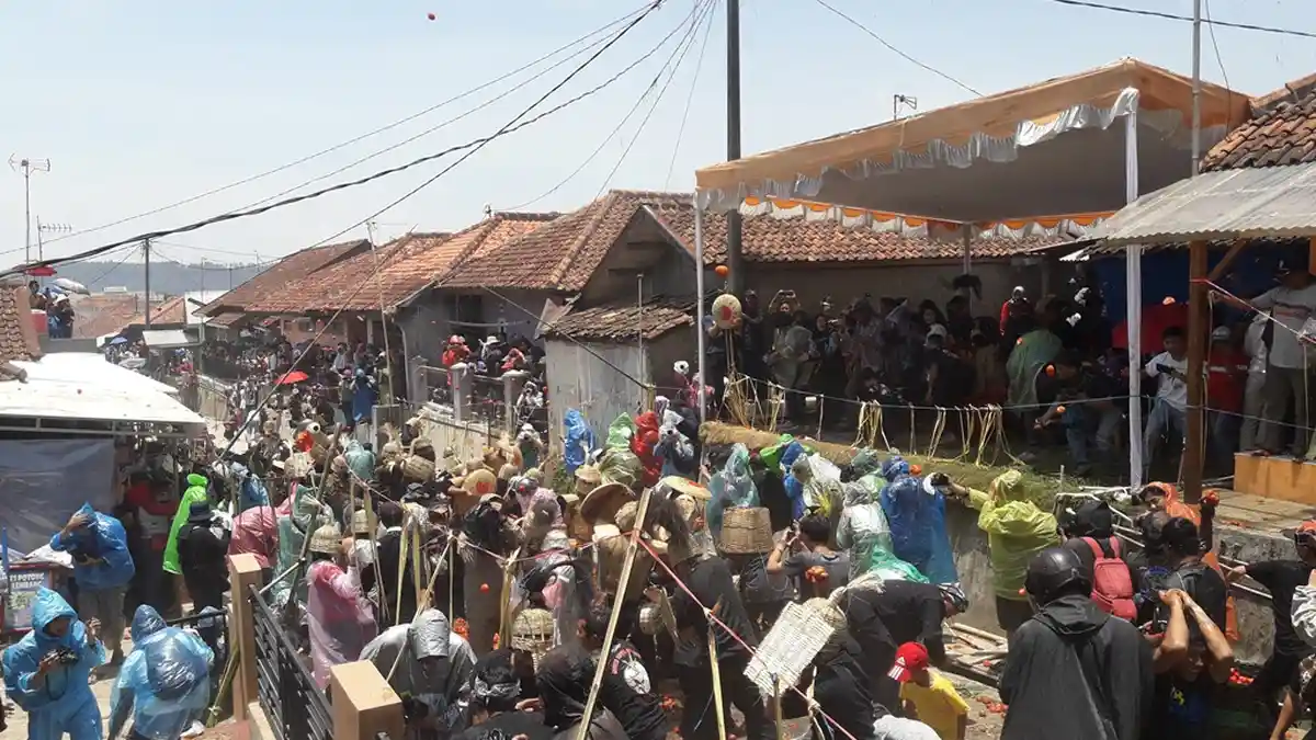 Perang Tomat Warga Kampung Cikareumbi Lembang Punya Makna Tinggi, Membuang Hal-hal Busuk Diri