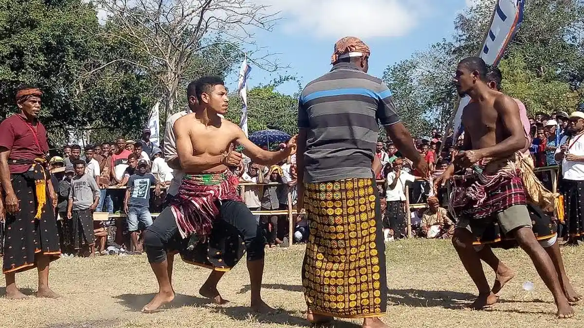 Suku Nataia di Nagekeo Tetap Lestarikan Adat dan Budaya, Ini Yang Mereka Lakukan