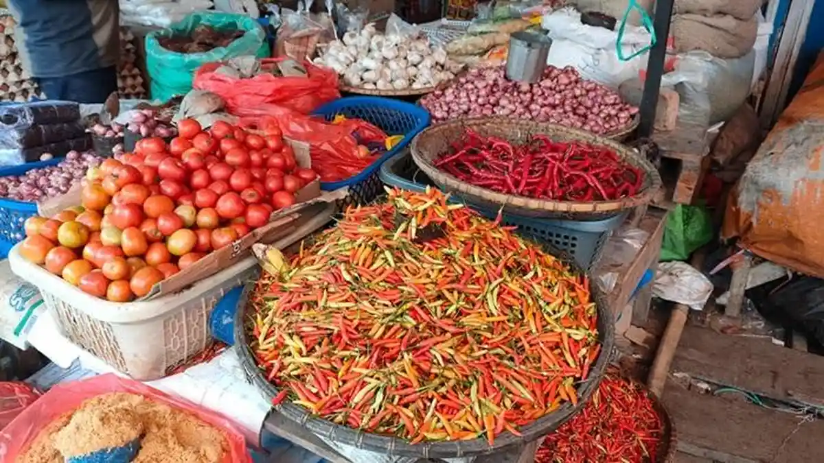 Harga Cabai di Tana Toraja Tembus Rp 70 Ribu Per Kilogram
