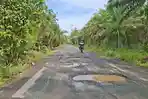 Jalan Poros Sabuhur Tanahlaut Diselubungi Lubang, Kades Sebut Telah Ajukan Usulan Perbaikan