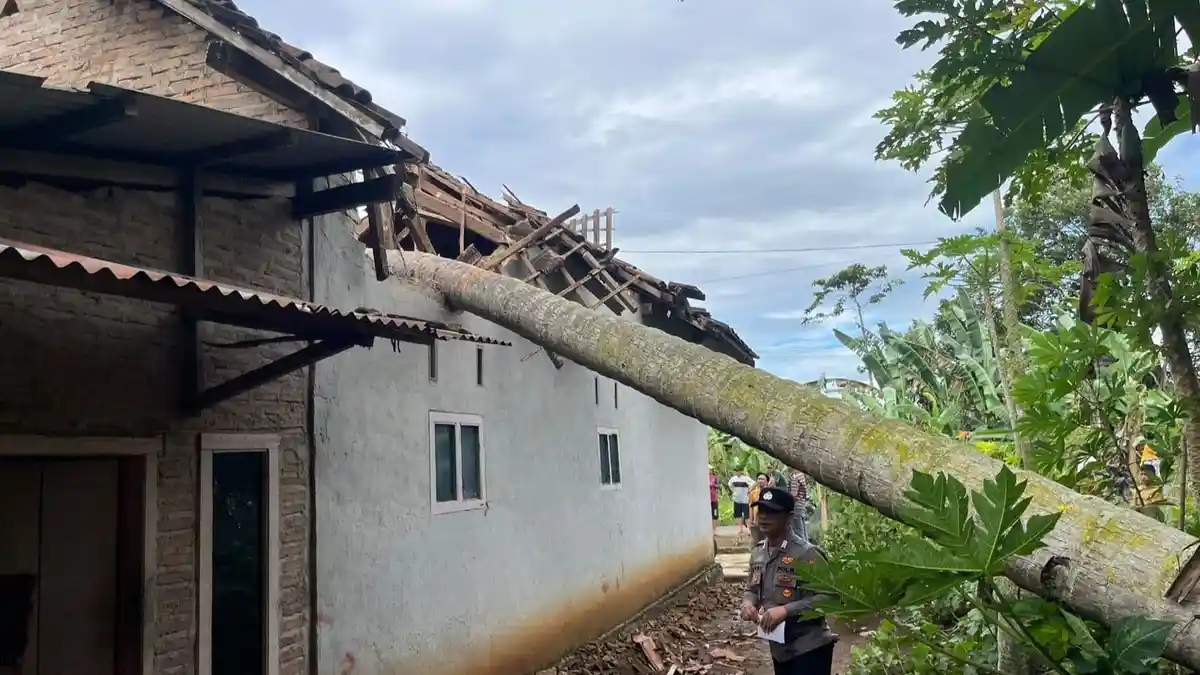 Rosmini Alami Luka Robek di Kepala Setelah Tertimpa Pohon Tumbang