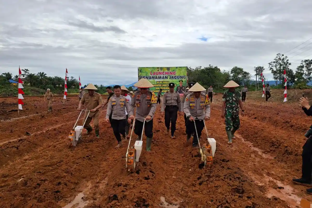 Dukung Program Presiden Prabowo, Lahan Seluas 5,2 Hektar di Bengkulu Tengah Ditanam Jagung