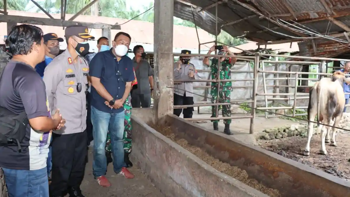 Cek Wabah Penyakit Mulut dan Kuku, Kapolres Pematang Siantar Turun Langsung ke Kandang Sapi