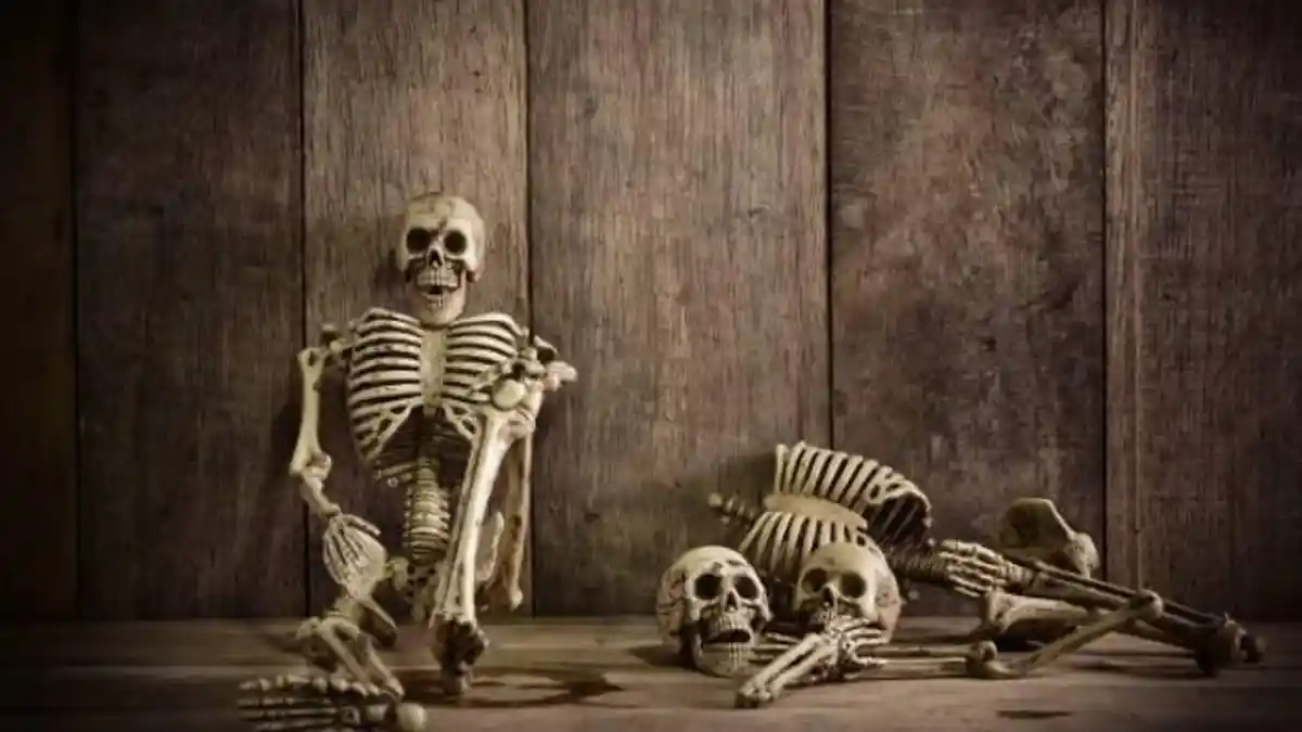 Kerangka Diduga Bocah Alvaro yang Hilang 8 Bulan Ditemukan di Tenjo Bogor