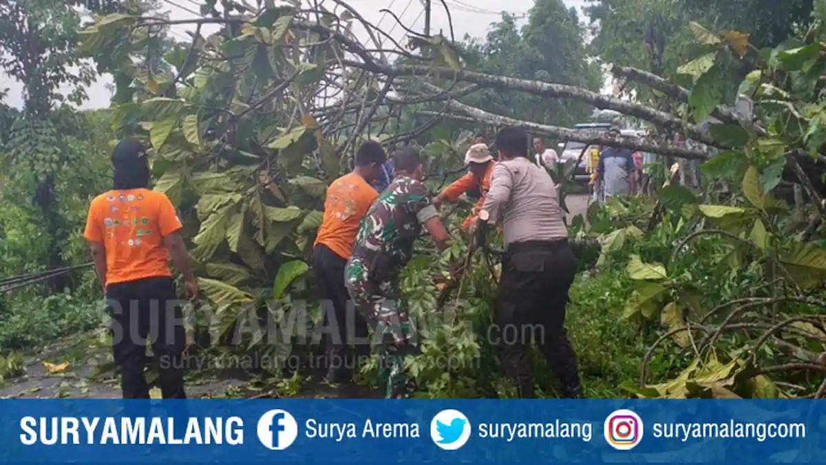 Angin Puting Beliung Melanda Kecamatan Arjasa & Mumbulsari Jember, BPBD Sebut 48 Rumah Rusak