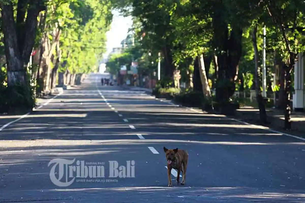 Saat Hari Suci Nyepi Nusa Penida 24 Jam Tanpa Listrik, Pemakaian Boleh Hanya untuk Dua Instansi Ini