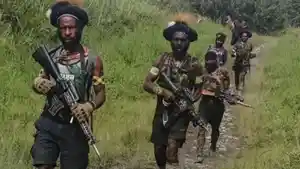 KKB-Papua-tembak-warga-sipil.jpg