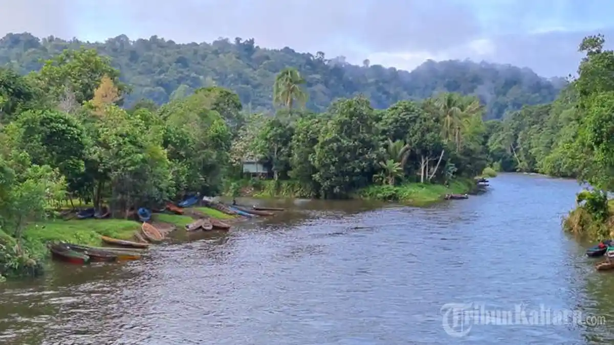 Long Sule, Desa di Pedalaman Kalimantan Utara yang Terisolir, tapi Kaya akan Emas