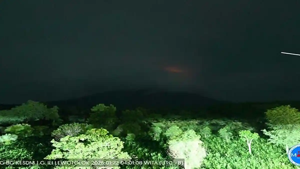 Status SIAGA, Gunung Lewotolok 70 Kali Gempa Erupsi 80 Gempa Hembusan