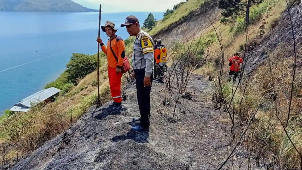 Hutan Kaldera Toba Terbakar Lagi, Diduga Ada Unsur Kesengajaan