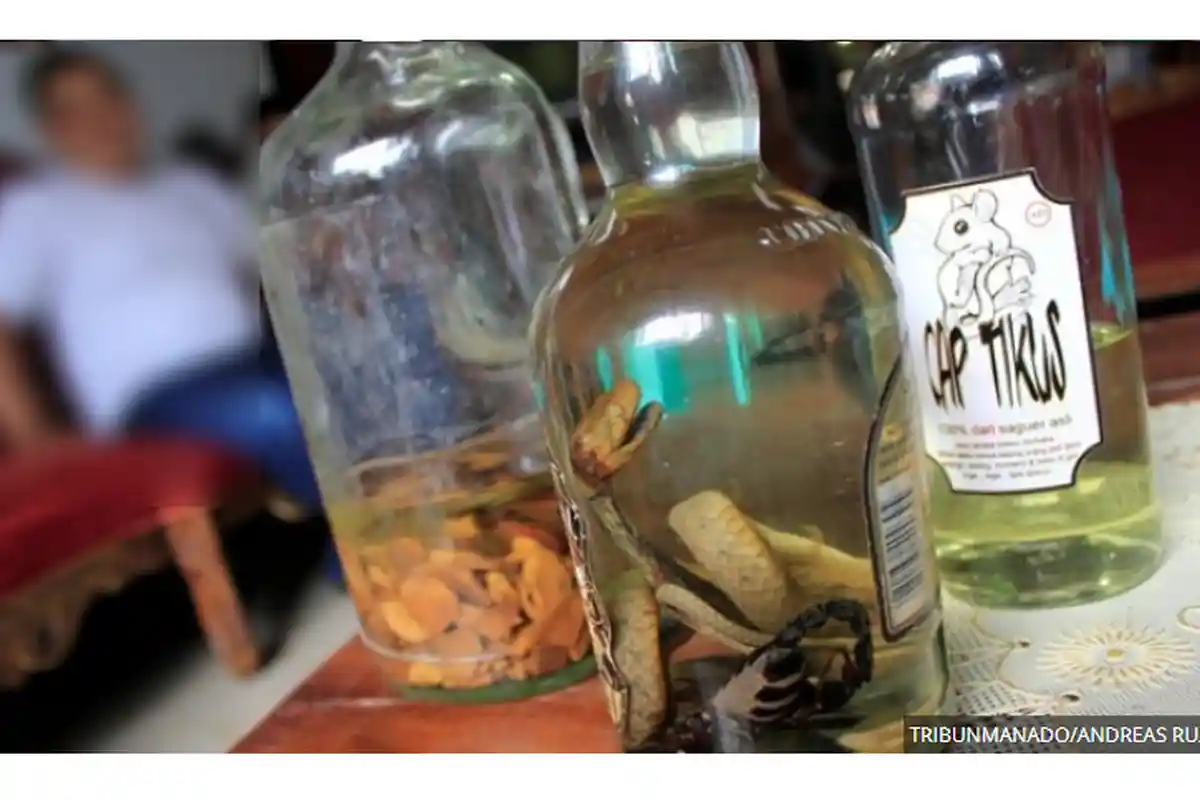Cap Tikus Campur Ular Kobra hingga Black Mamba: Dipercaya Tingkatkan Stamina hingga Obat Sakit Gigi