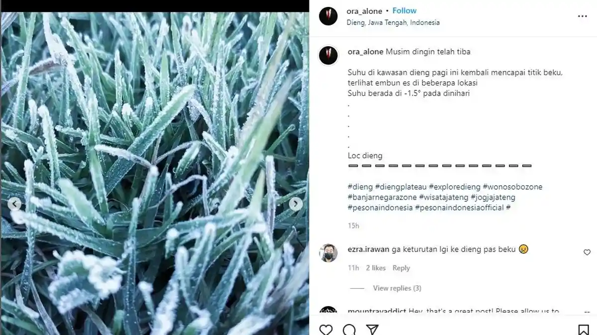 Embun Es di Dieng Muncul Pada Jam-jam Ini, Ini Waktu-waktu untuk Menyaksikan Fenomena Alam Unik Ini