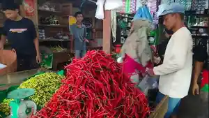08042024_cabai-Sarolangun.jpg