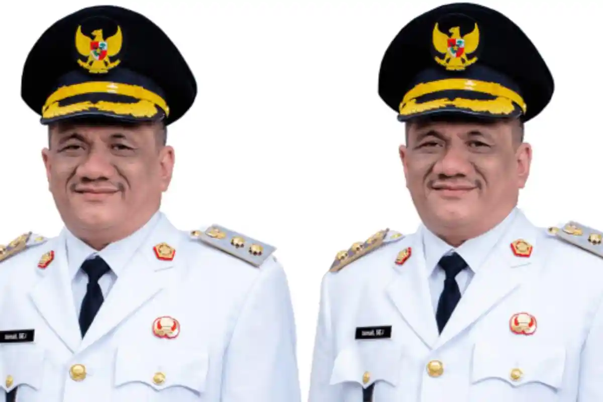 Sosok & Profil Ismail, Wakil Bupati Aceh Tamiang yang Dilantik Muzakir Manaf, Anggota DPRK 3 Periode