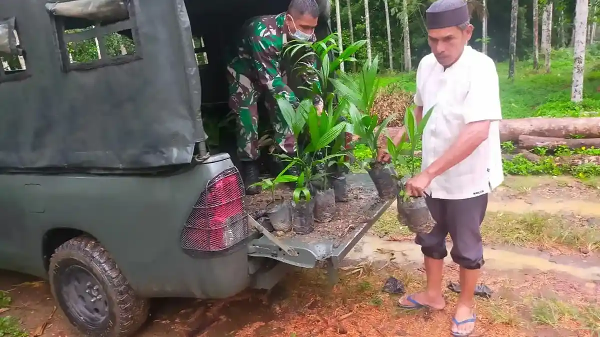 Bibit Pinang Bantuan Danrem Lilawangsa Diserahkan Kepada Masyarakat Nisam Antara