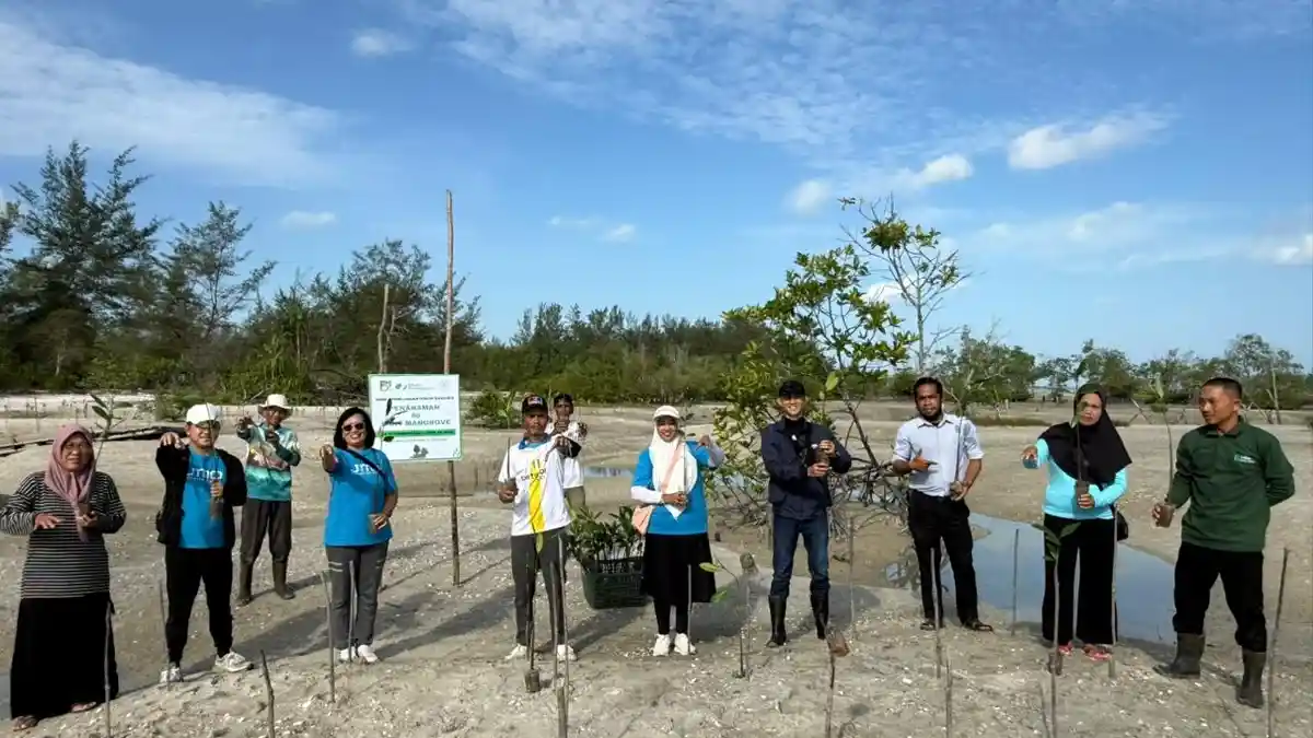 Hari Lingkungan Hidup Sedunia 2026, BPJS Ketenagakerjaan Belitung Tanam 50 Bibit Mangrove